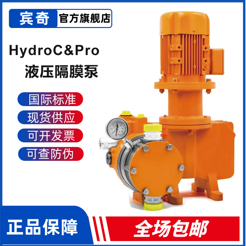 普罗名特泵HydroC Pro液压隔膜计量泵HAC210436 069100 028320型