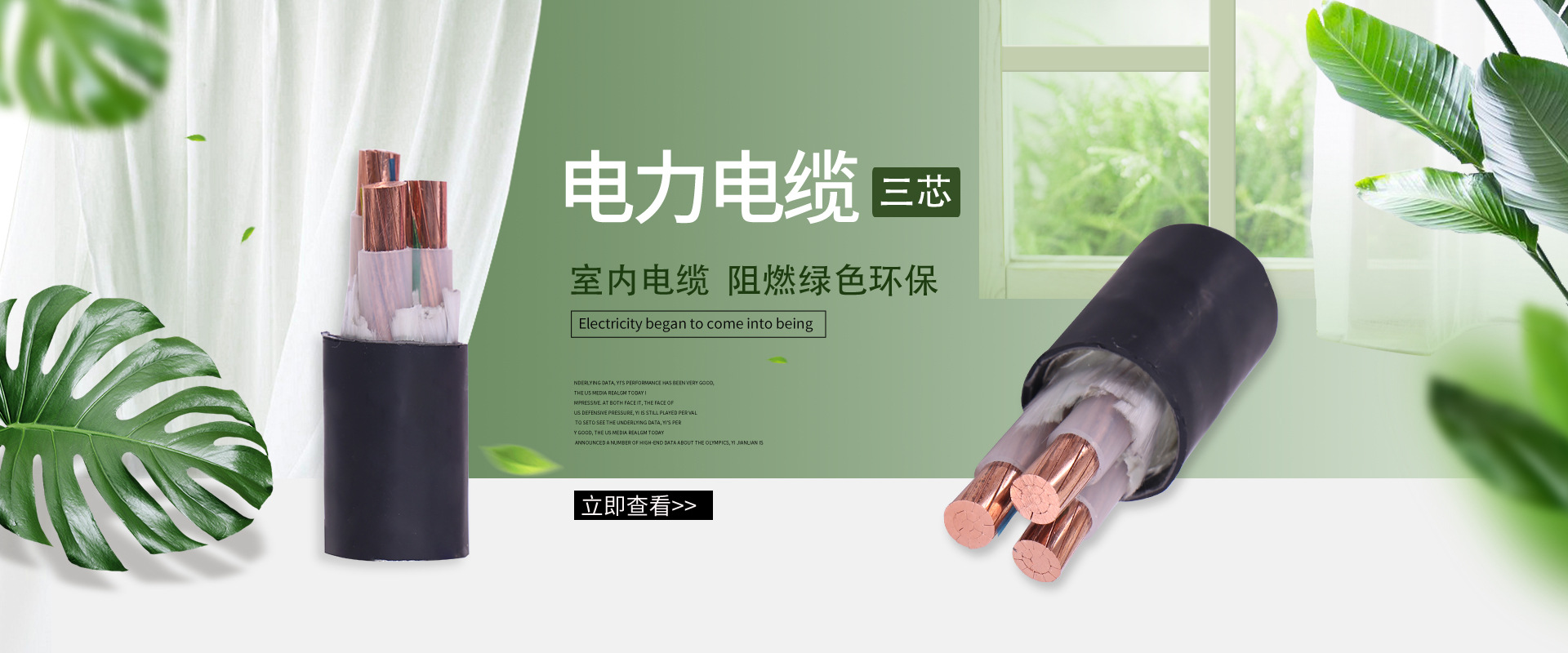 重庆然驰电气科技有限公司