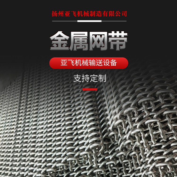 耐酸碱金属网带定制 工业速冻机速冻线传动带 亚飞