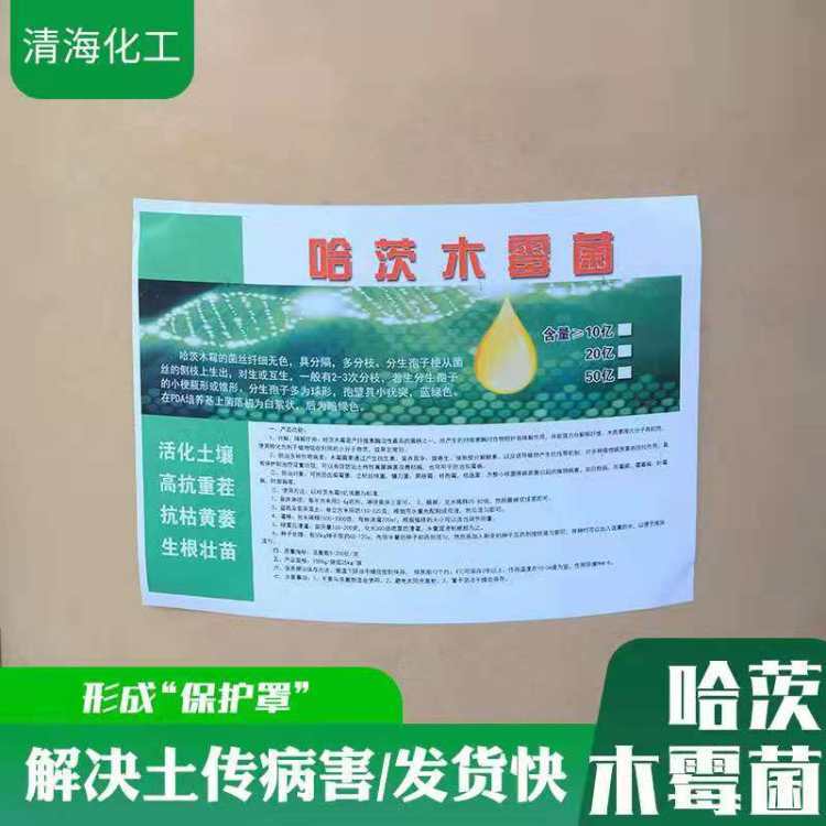 哈茨木毒菌 预防植物病害 微生物菌种 农业级 发货迅速