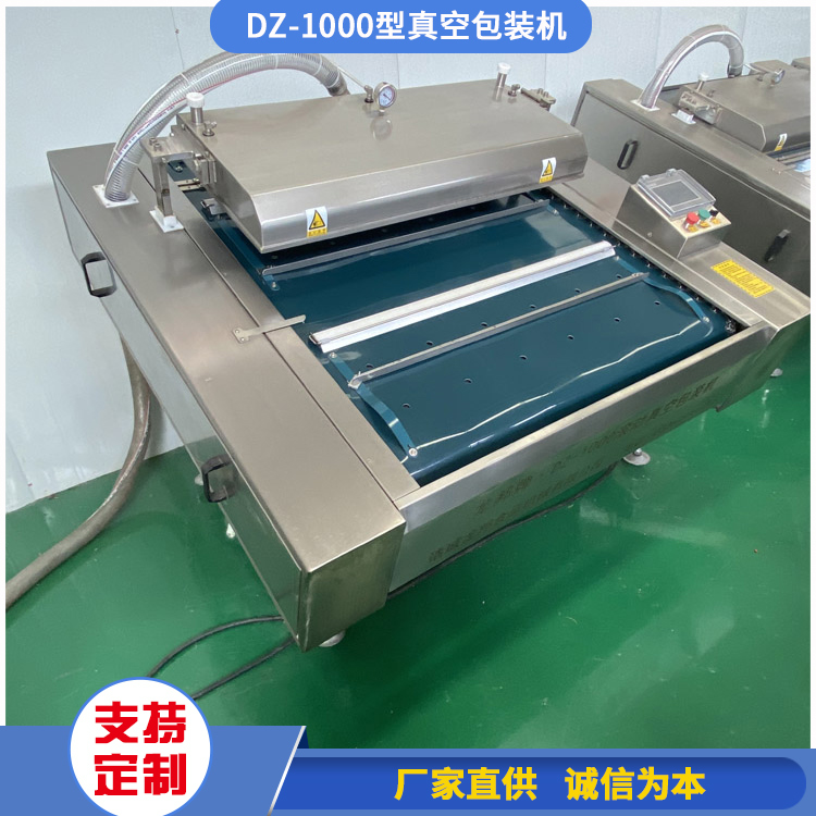 DZ-1000型真空包装机 八角调味品连续式包装机