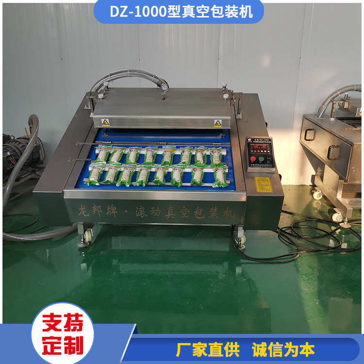杂粮DZ-1000型真空包装机 大米砖块真空封口机