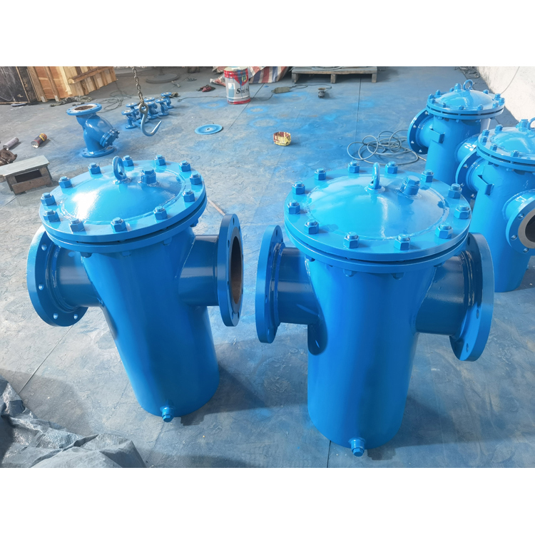 蓝式除污器 快开篮式过滤器 全自动水处理 优质货源 鸿信