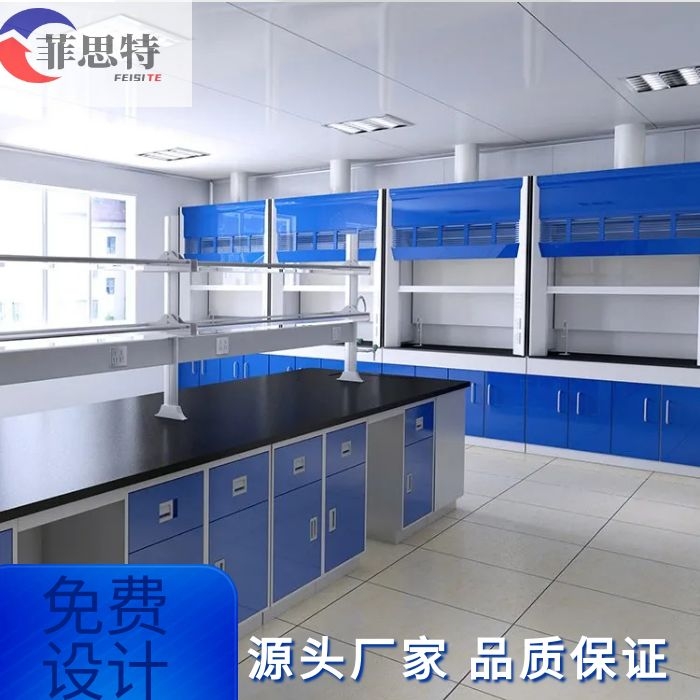 深圳菲思特实验室钢木边台 实验台订做化验室设备生产定做