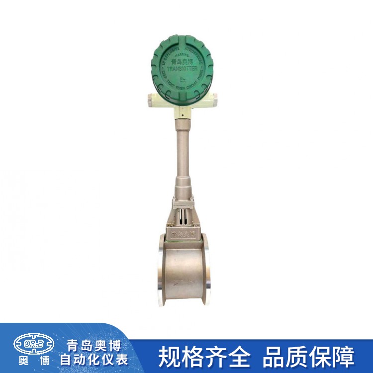 涡街流量计 (16)