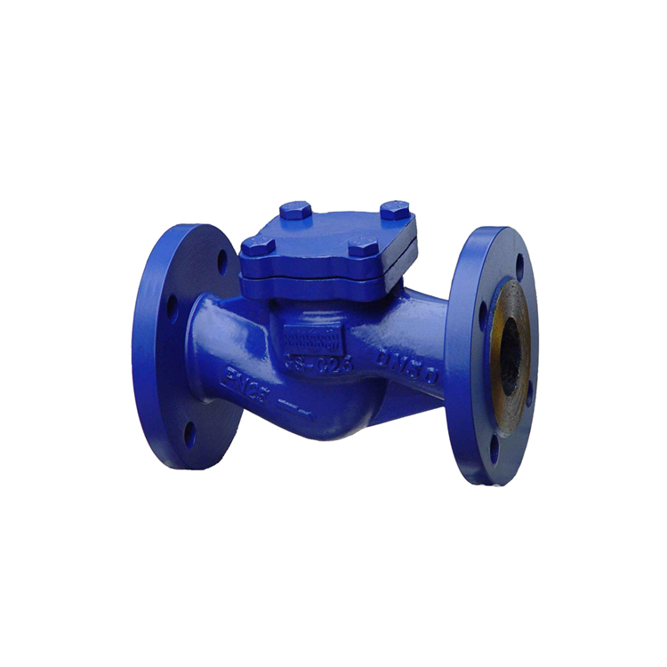 化工部法兰止回阀 美标不锈钢材质 迪一阀门精选 支持定制