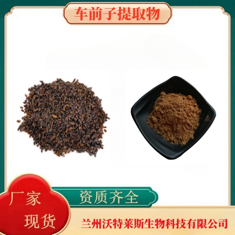 荷叶提取物 荷叶碱 荷叶粉 荷叶提取液 荷叶浸膏 多种规格 沃特莱斯 厂家批发