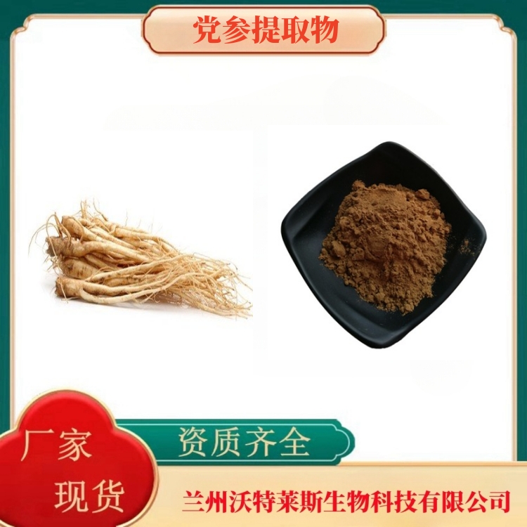 金银花提取物 金银花绿原酸5% 金银花提取液 金银花粉 沃特莱斯 规格齐全