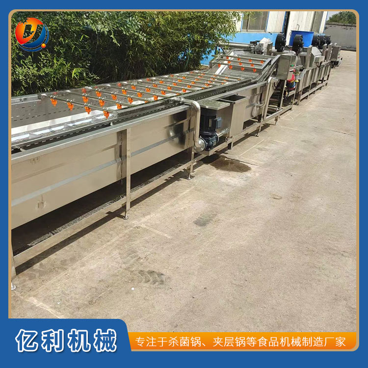 蓝莓气泡清洗机 大型蔬菜药材清洗线
