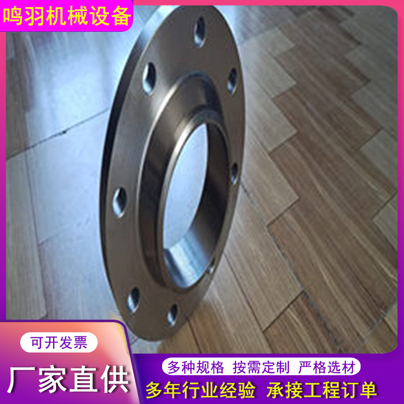 法兰 (12)