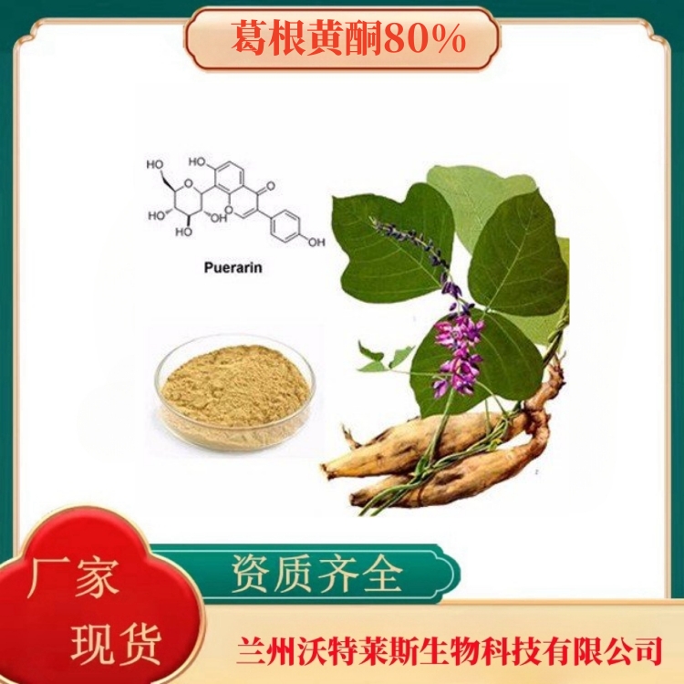 葛根黄酮80%   葛根提取物     葛根粉   葛根素98%   多种规格    沃特莱斯生物