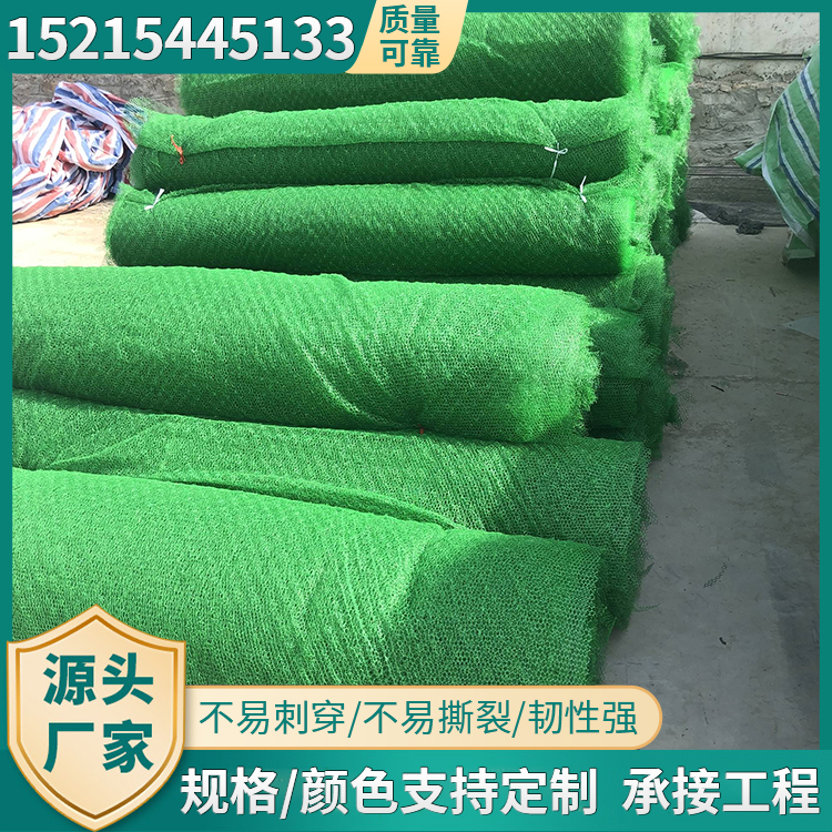 三维植被网 保护坡面防风固沙 河道治理护坡用 天臻