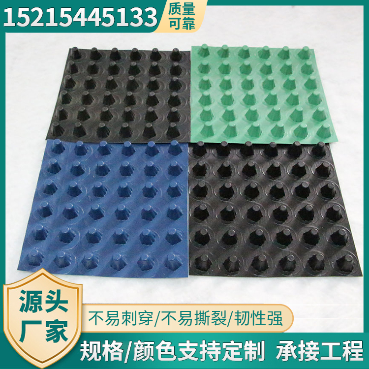 复合排水板 车库排水系统 蓄排水板定制 天臻厂家直销