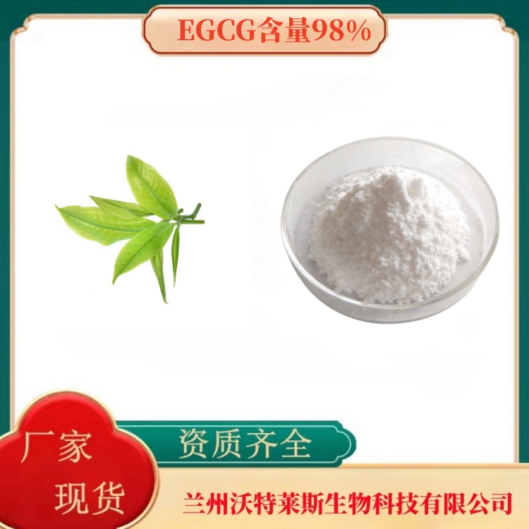 EGCG 98% 绿茶提取物 表没食子儿茶素没食子酸酯 现货供应