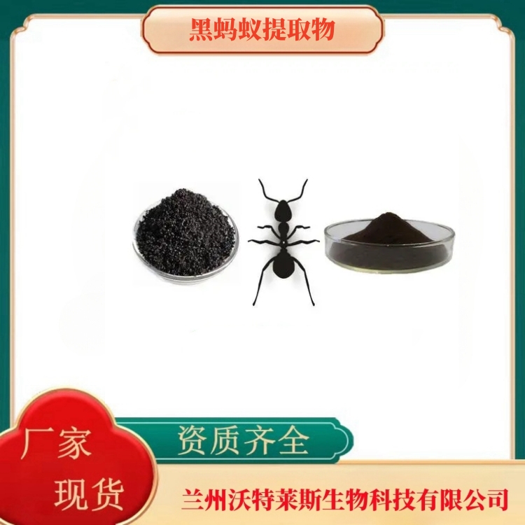 黑蚂蚁提取物 黑蚂蚁水溶粉 黑蚂蚁浸膏粉 拟黑多刺蚁粉 食品原料