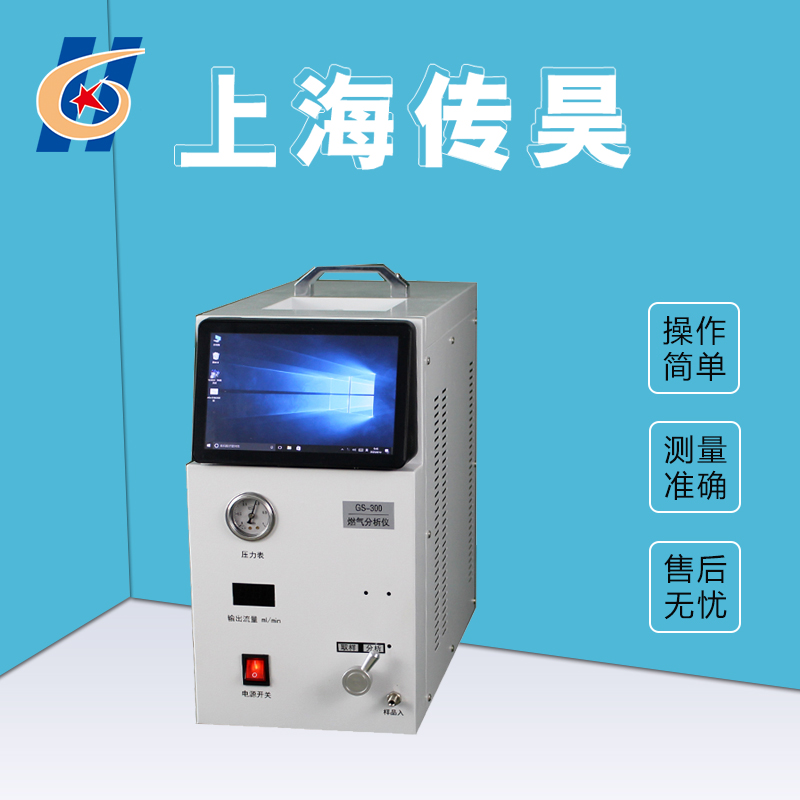 GS-300B便携式天然气分析仪 传昊仪器