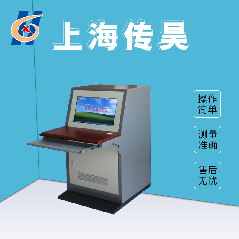 GS-300Z天然气分析仪(在线) 传昊仪器