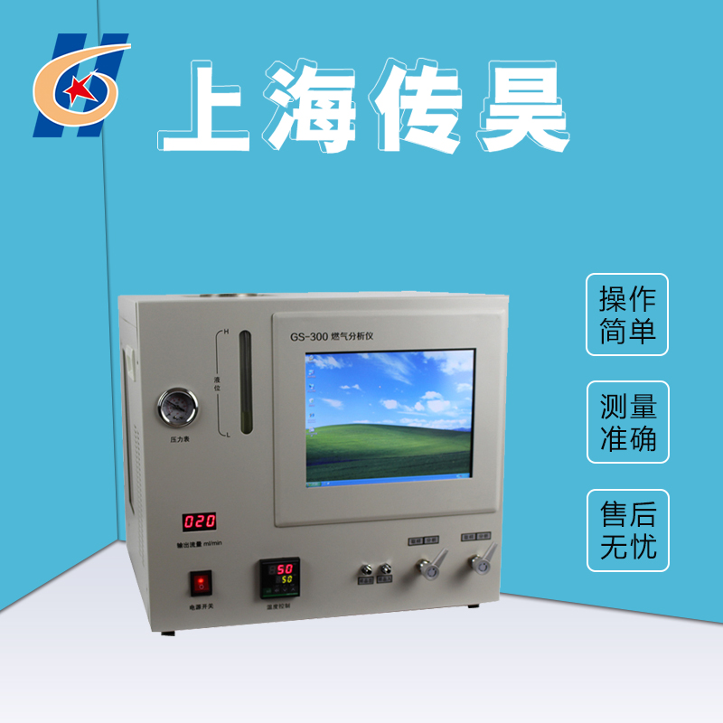 GS-300气体分析色谱仪 实验室仪器