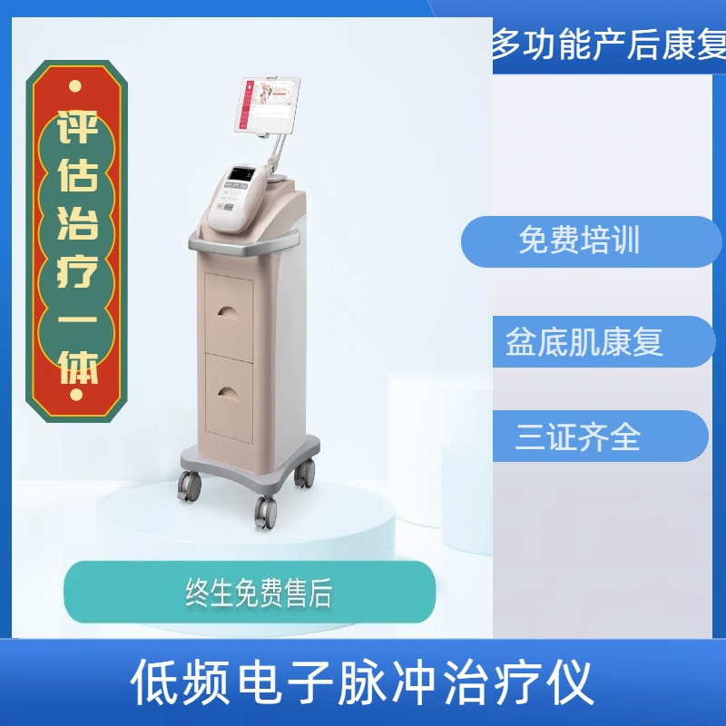 产后康复治疗仪 (17)