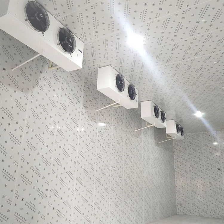 小型冷库全套设备移动冷冻速冻冷藏保鲜冻库