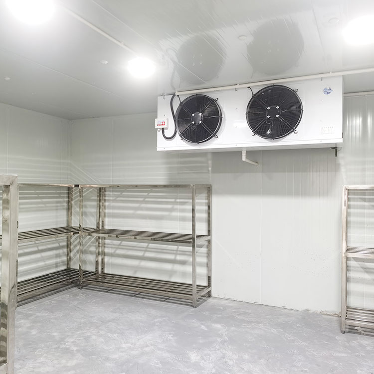 厂家直供水果蔬菜海鲜肉类保鲜库超市商用速冻库低温冷库全套设备