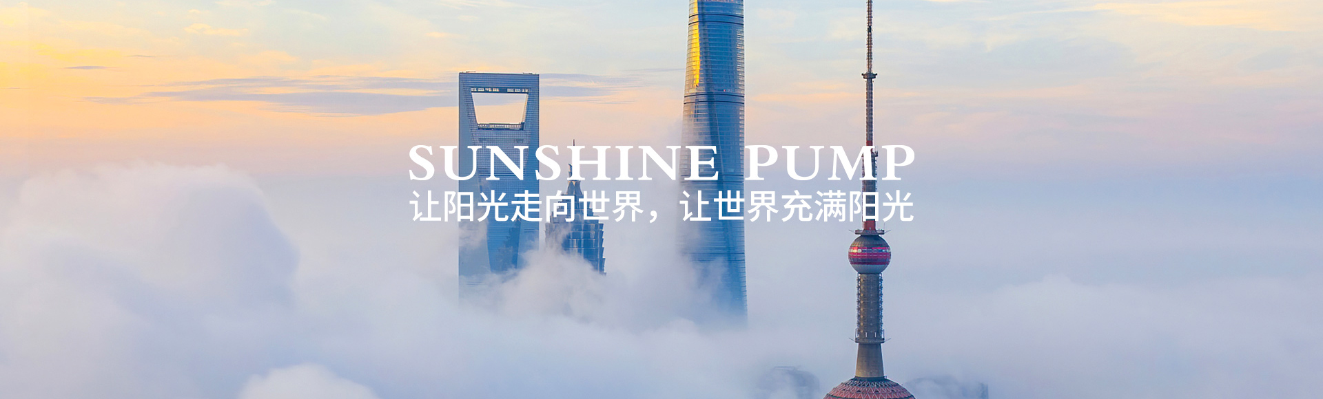上海阳光泵业制造有限公司