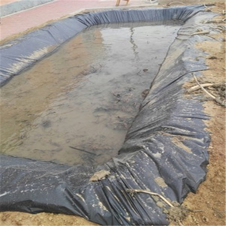 黑色地布除草布透气渗水果园除草布抑草布园艺
