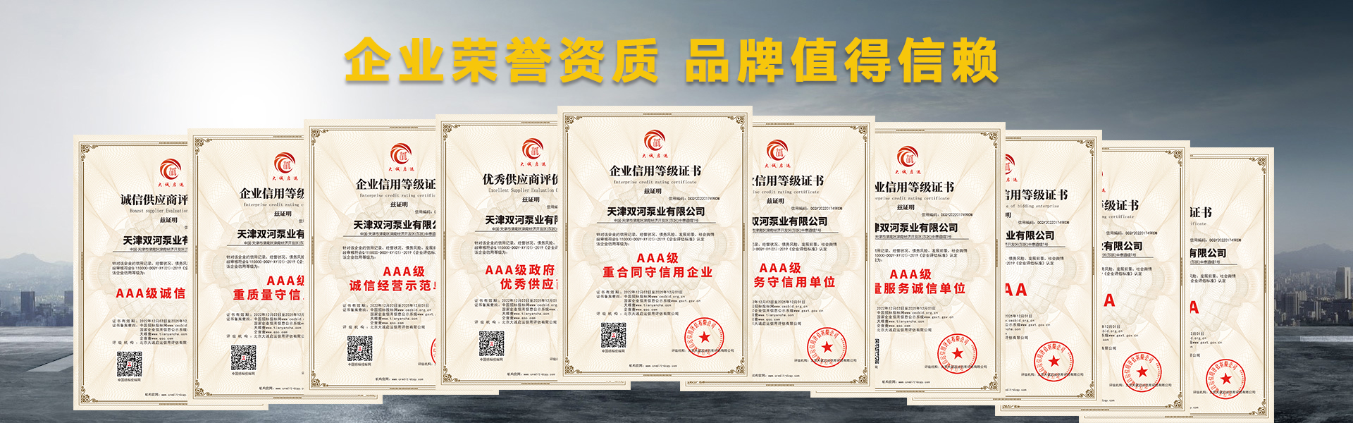 天津双河泵业有限公司