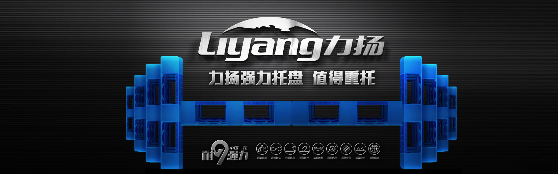 山东力扬塑业有限公司