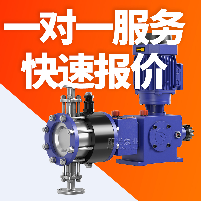 DY-Z型液压隔膜式计量泵高压计量泵耐腐蚀计量泵型号