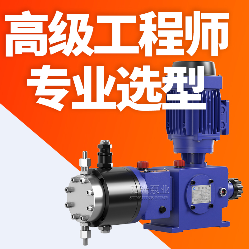 DY-X型液压隔膜式计量泵铸铁计量泵不锈钢计量泵阳光泵业