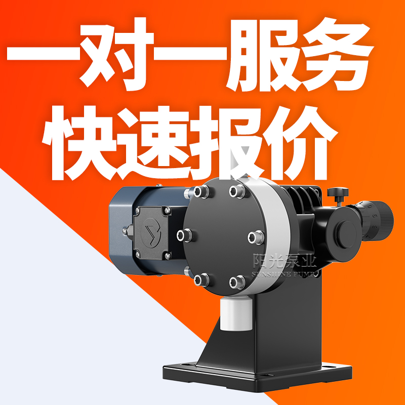 DJ-L型隔膜式计量泵计量泵 污水计量泵现货电动隔膜计量泵