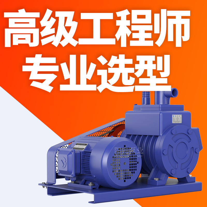2X型双级旋片式系列真空泵气体传输泵厂家直销现货供应阳光泵业
