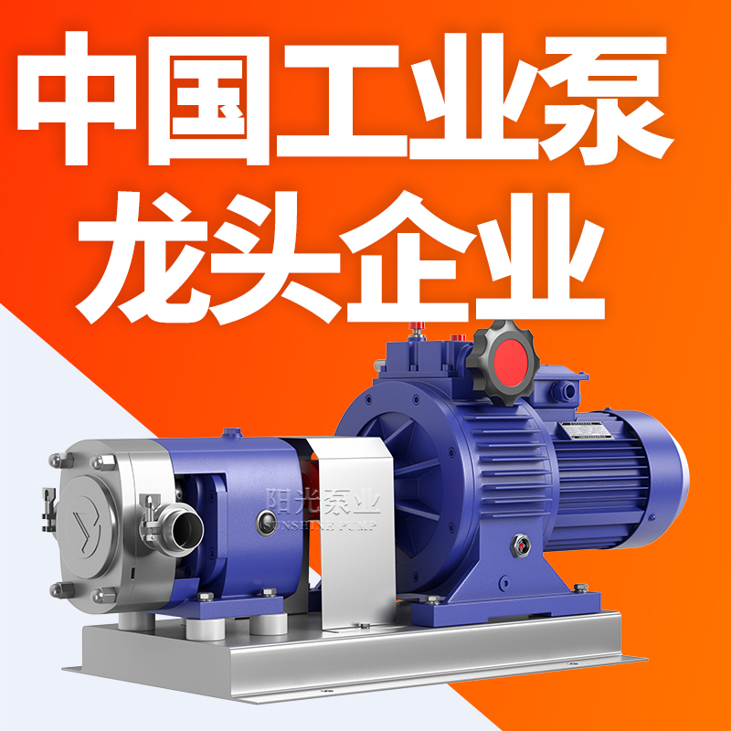 上海阳光泵业LQ型转子泵凸轮转子泵不锈钢转子凸轮泵厂家供应