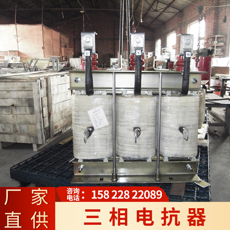 三相电抗器 (21)