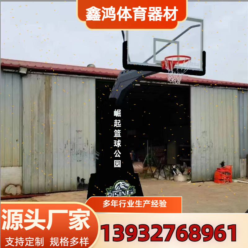 儿童升降篮球架 可定制 儿童篮球架