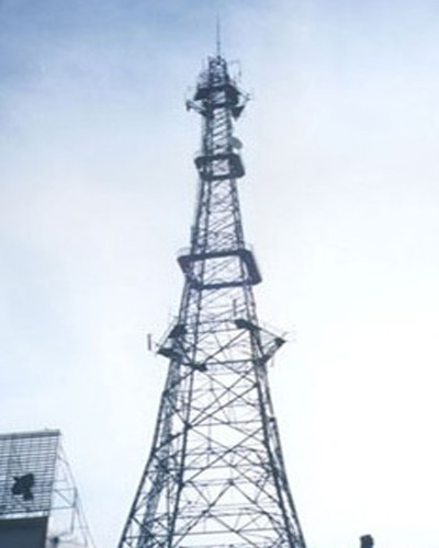 避雷塔批发-厂家直供-质优价廉-支持定制