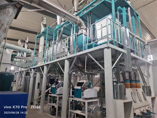 玉米生产线 双狮粮油机械