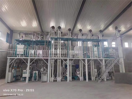 玉米糁加工机械 双狮粮油机械