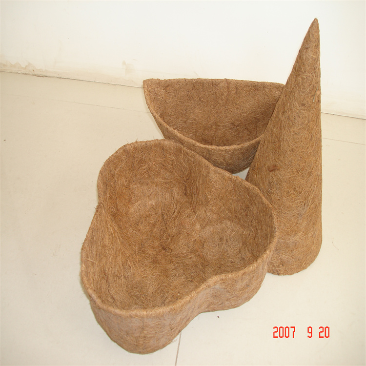 椰衣 (2)