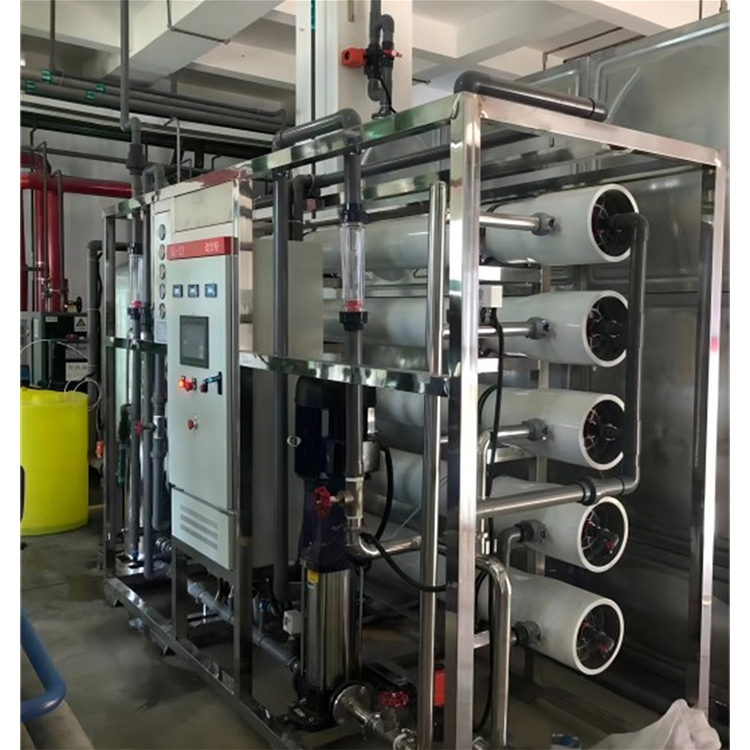 工业纯水设备 纯化水设备 反渗透水处理设备厂家