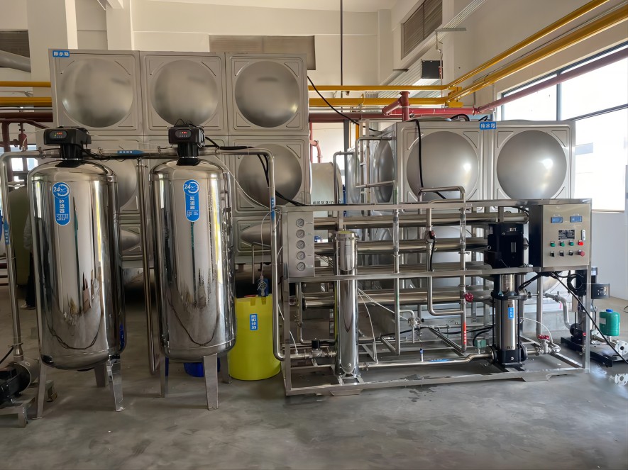 EDI超纯水设备 纯化水设备 反渗透纯水设备厂家