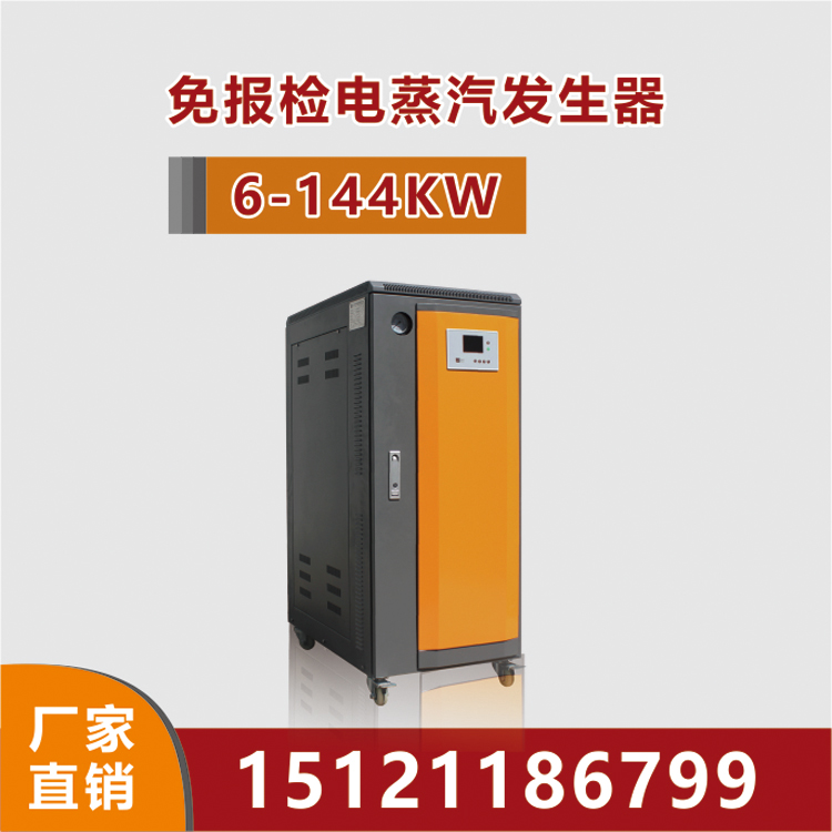 DM 电加热蒸汽发生器 6-36KW，免报检