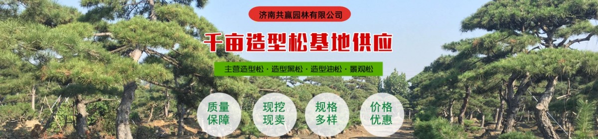 济南市共赢园林有限公司