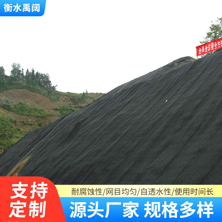 绿化防冲刷植草用加筋麦克垫 河道护坡三维网垫 镀锌石笼网