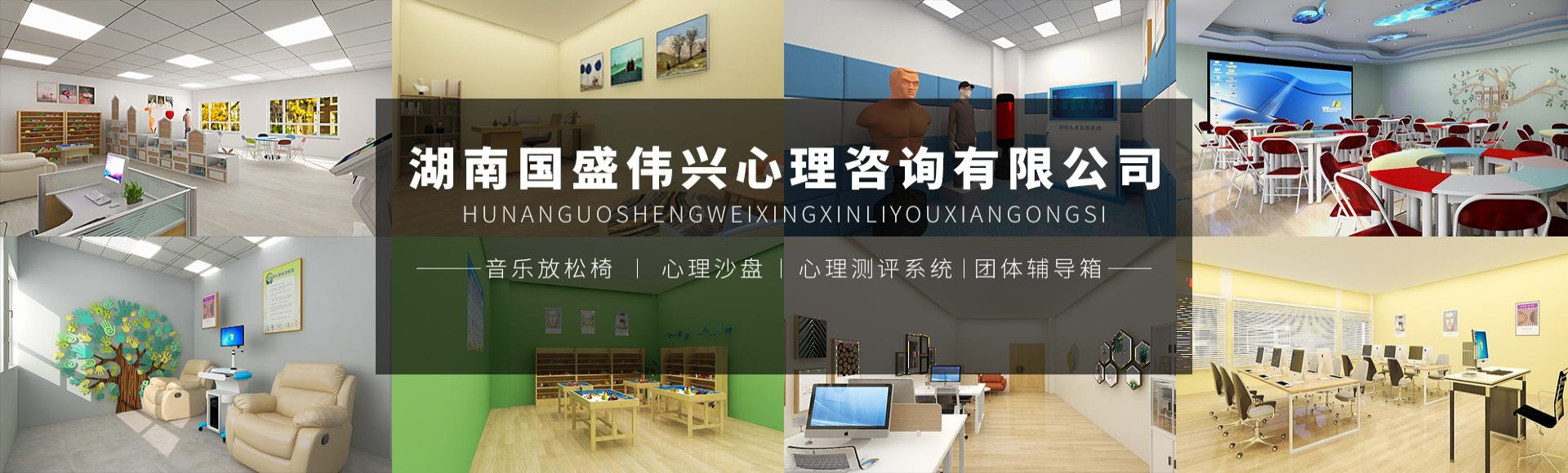 湖南国盛伟兴心理咨询有限公司