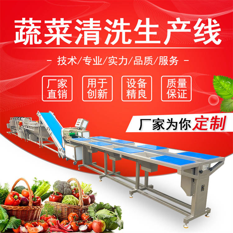 大型叶菜净菜生产线 预制菜清洗流水线方案