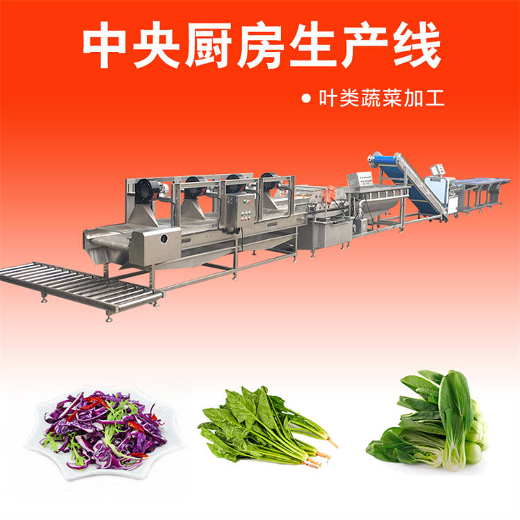 中央厨房预制菜加工流水线 瓜果毛菜加工设备定制