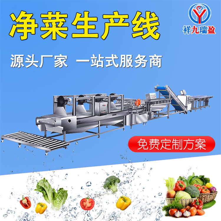 叶菜毛菜清洗线 蔬果净菜生产线方案