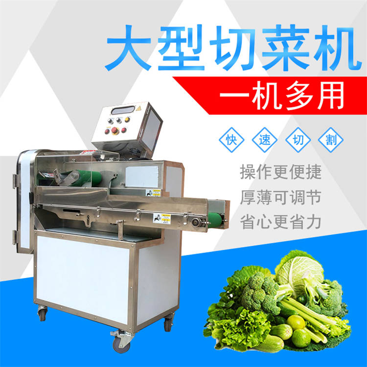 大型白菜酸梅菜切菜机 切片机可调速切菜机